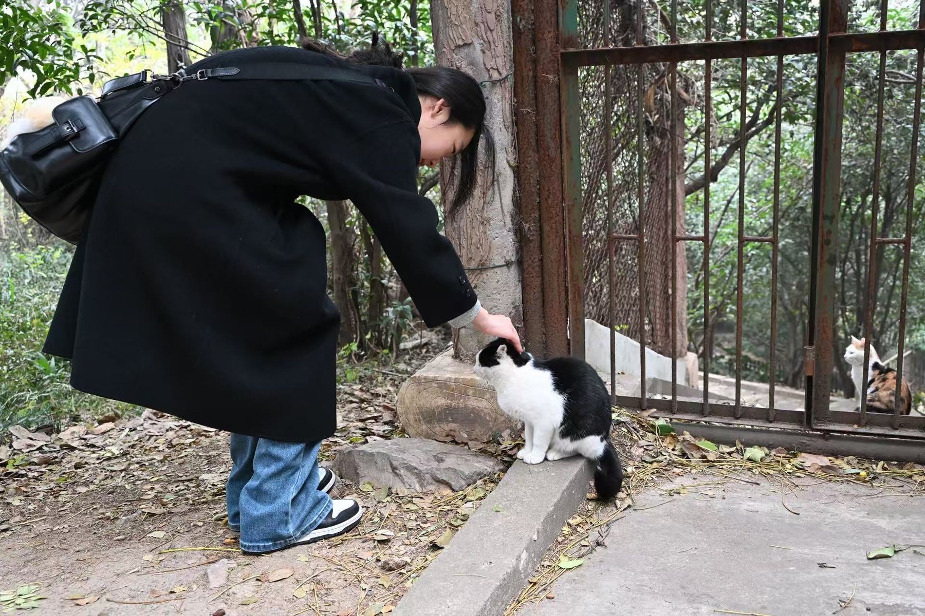 她弯下腰，轻轻抚摸一只黑白小猫